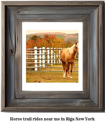 horse trail rides near me in Riga, New York